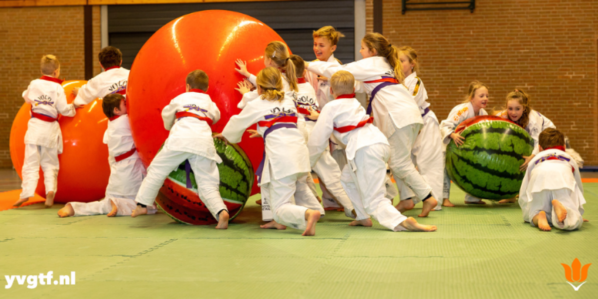 Yvonne van Gennip nieuws:Nieuwe partner van Missie 1 voor 100: Zorg en Zekerheid
